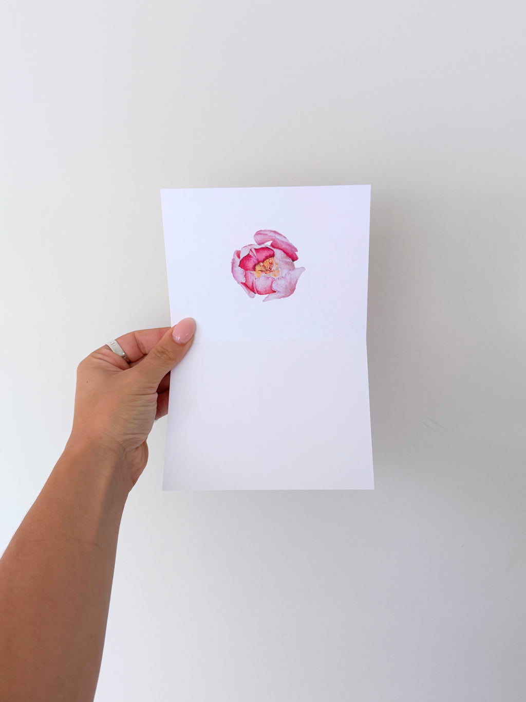 pack of 5 greeting cards